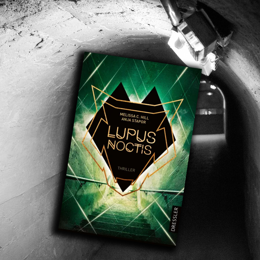Buchtipp Stapor